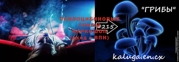 ECSTASY Ладушкин