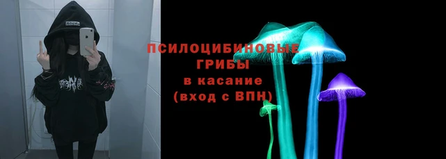 амф Кукмор