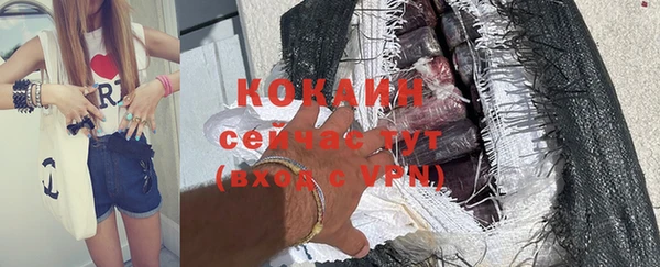 крисы Лагань