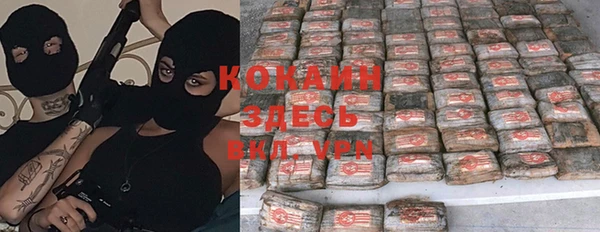 крисы Лагань